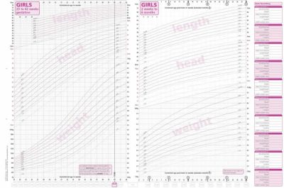 A4 UK-WHO NICM [Neo-Natal Infant Close Monitoring] Growth Charts