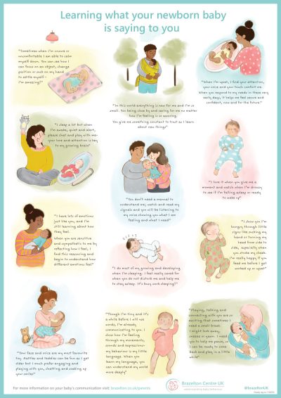 Brazelton-Baby-Communication-Poster