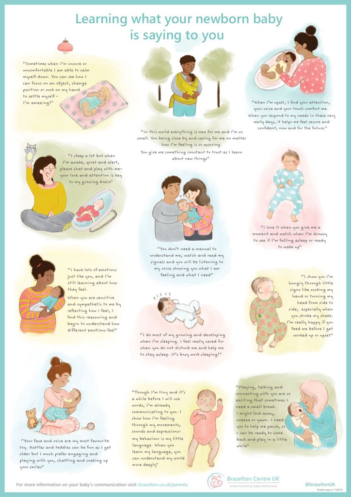 Brazelton-Baby-Communication-Poster