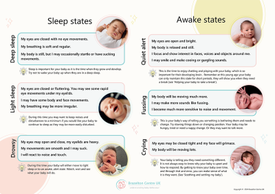Brazelton - Newborn behavioural states poster