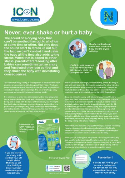 ICON-poster-Never-Ever-Shake-a-baby